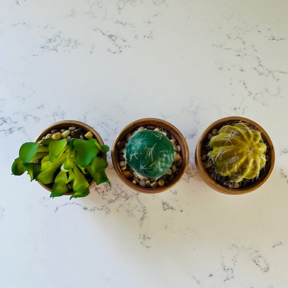 Pier 1 set of three faux mini decorative cactus - Picture 7 of 15